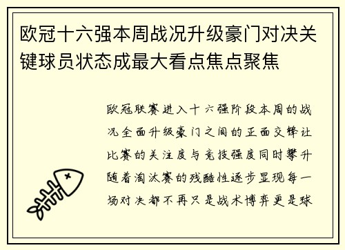 欧冠十六强本周战况升级豪门对决关键球员状态成最大看点焦点聚焦 欧冠十六强本周战况升级豪门对决关键球员状态成最大看点焦点聚焦