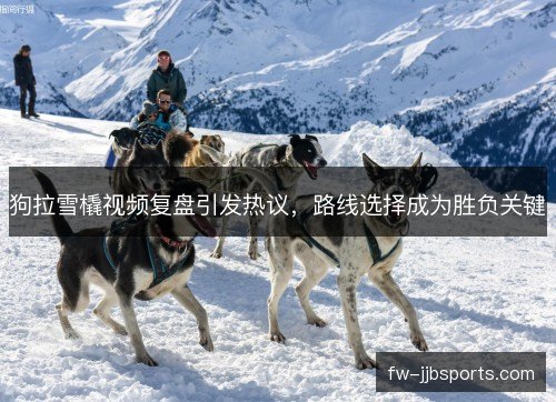 狗拉雪橇视频复盘引发热议，路线选择成为胜负关键